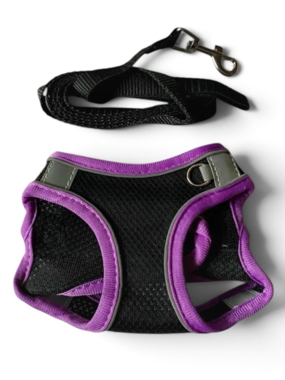 Pet Harness & Leash Set - Extra Small